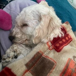 Meet your Posher, Kristine